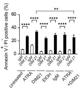 Two-panel figure showing increased apoptosis (TUNEL flow cytometry quantification) and elevated cleaved caspase-3 in AML cells after anti-PtdGlc antibody DIM21, enhanced by ATRA—evidence that glycophospholipids (phosphatidylglucoside) trigger apoptotic signaling.